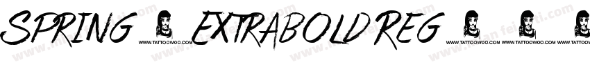 Spring-Extrabold Reg字体转换